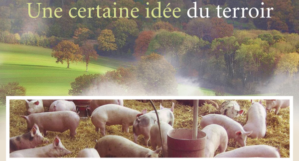 Une certaine idée du terroir
