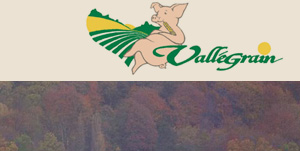Vallégrain