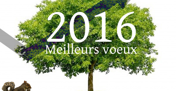 Meilleurs voeux 2016