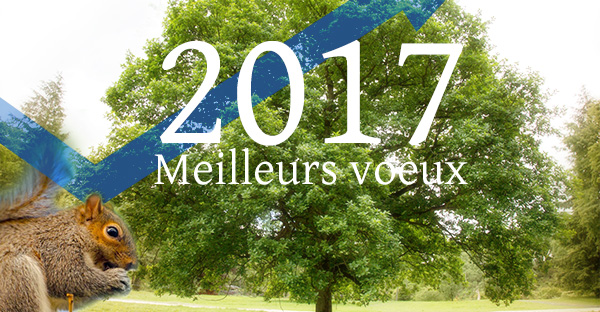Meilleurs voeux 2017
