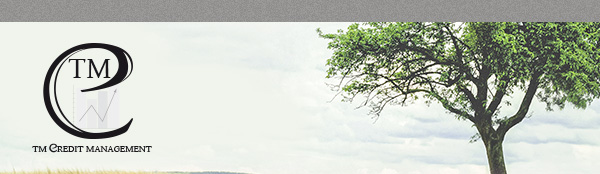 TM Credit management