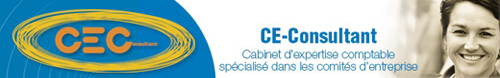 ce consultant