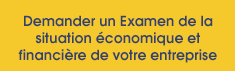 Demander un Examen de la situation économique et financière de votre entreprise