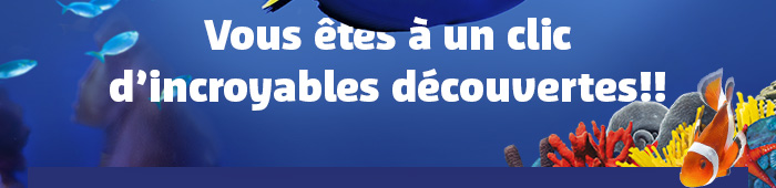Vous êtes à un clic d’incroyables découvertes!!