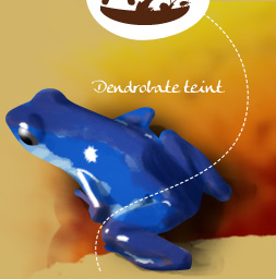 Dendrobate teint