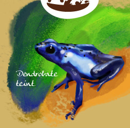 Dendrobat teint